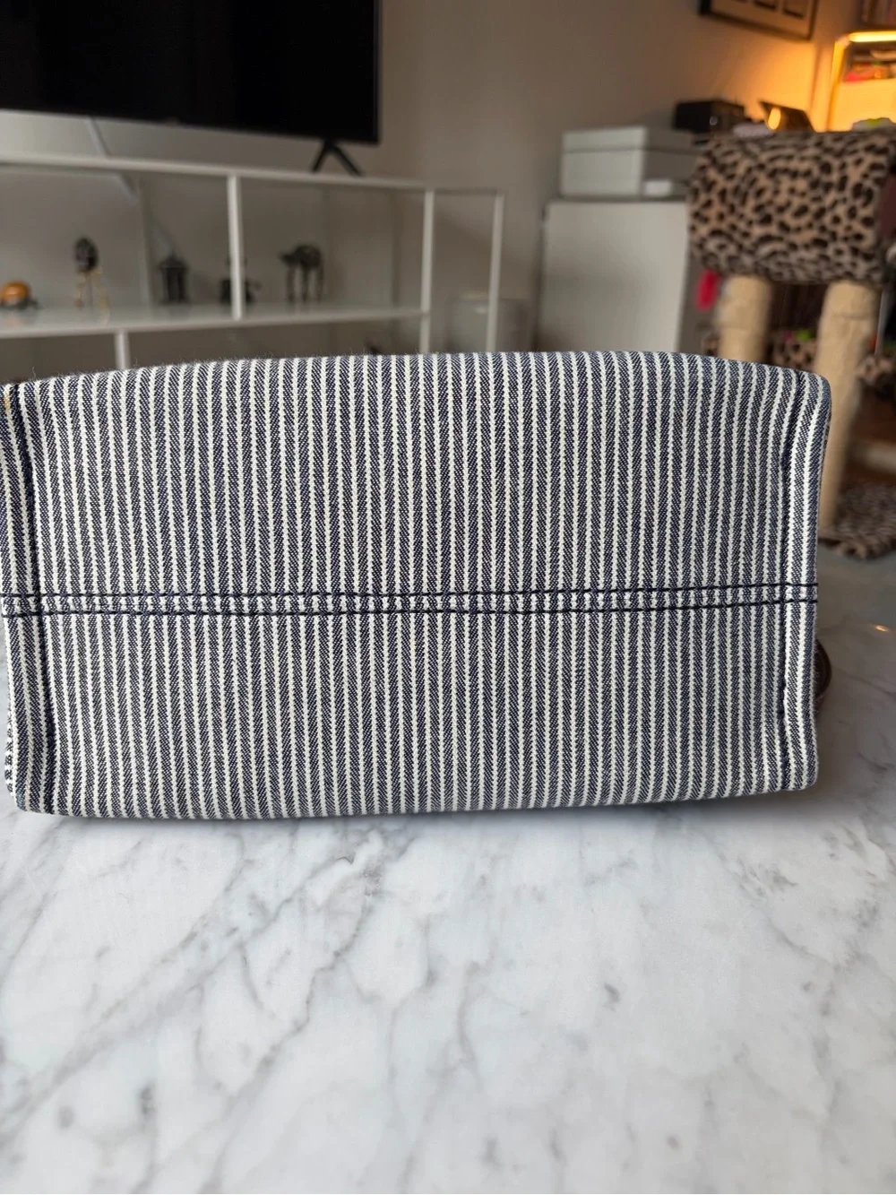 Celine Striped Canvas Calfskin Triomphe Tote in Navy and Brown